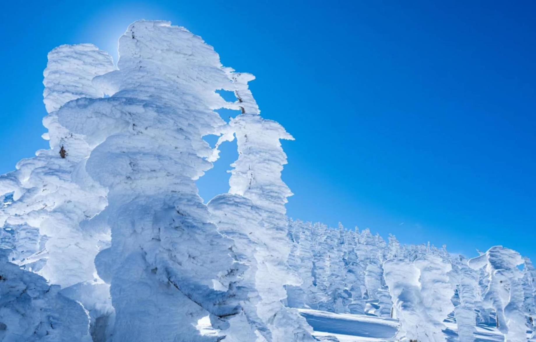 Snowfall Meteor 飛雪流星 Kaminoyama Exteriör bild