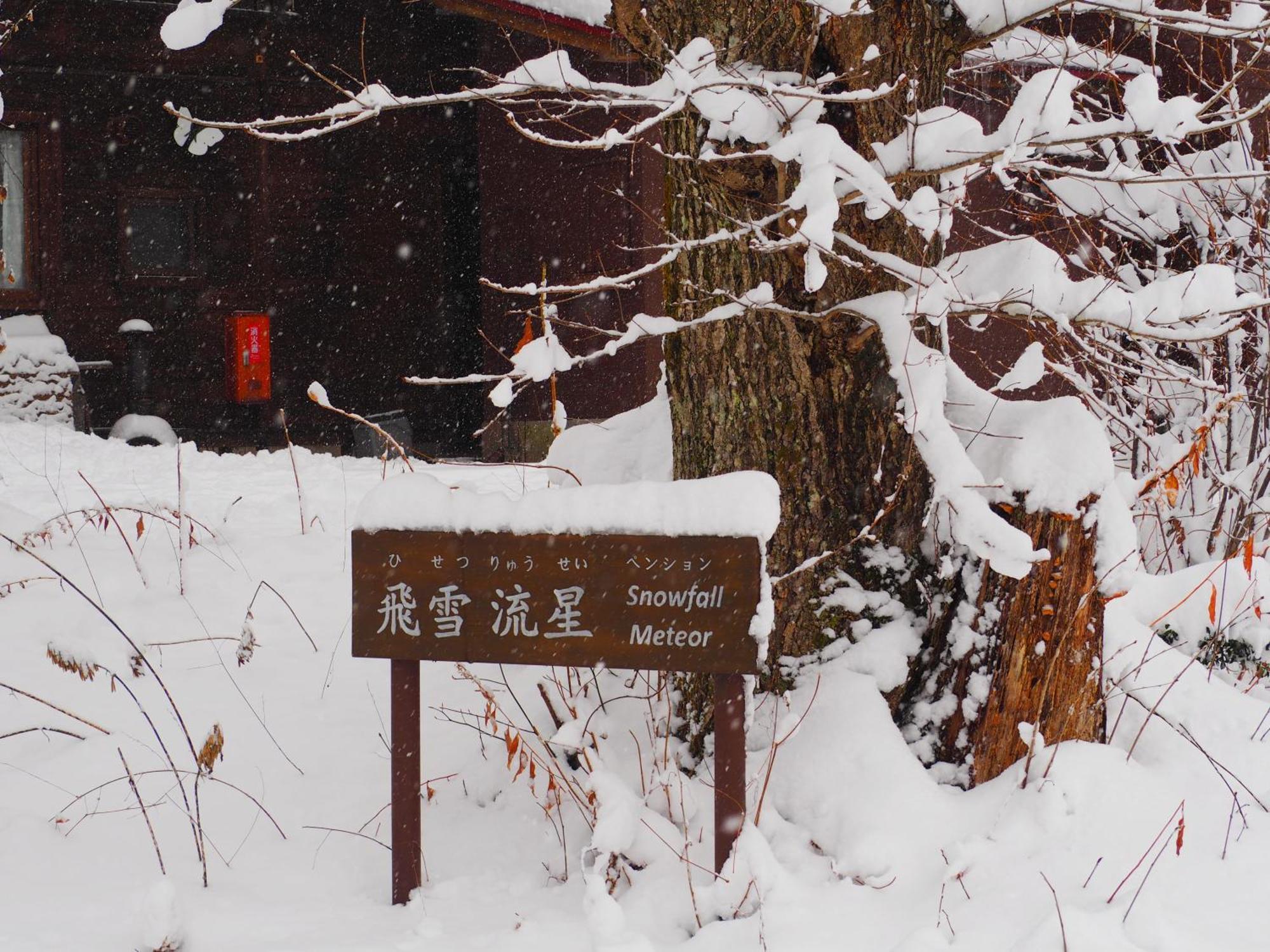 Snowfall Meteor 飛雪流星 Kaminoyama Exteriör bild